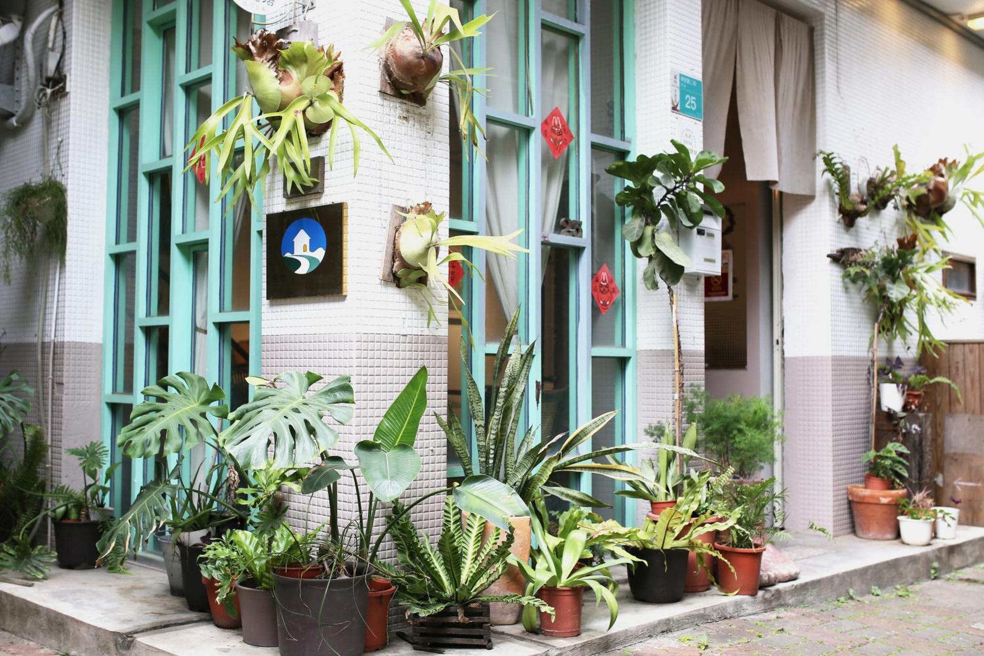 Jimu'S Holiday Home 吉姆俱樂部-台南包棟寵物友善民宿 Luaran gambar